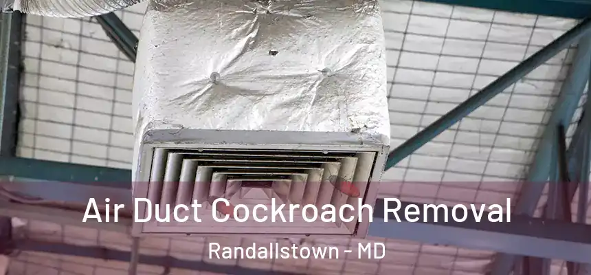 Air Duct Cockroach Removal Randallstown - MD