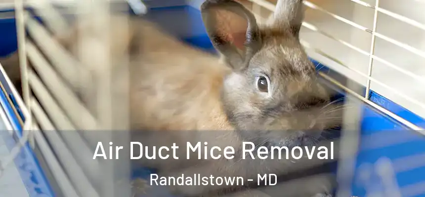 Air Duct Mice Removal Randallstown - MD