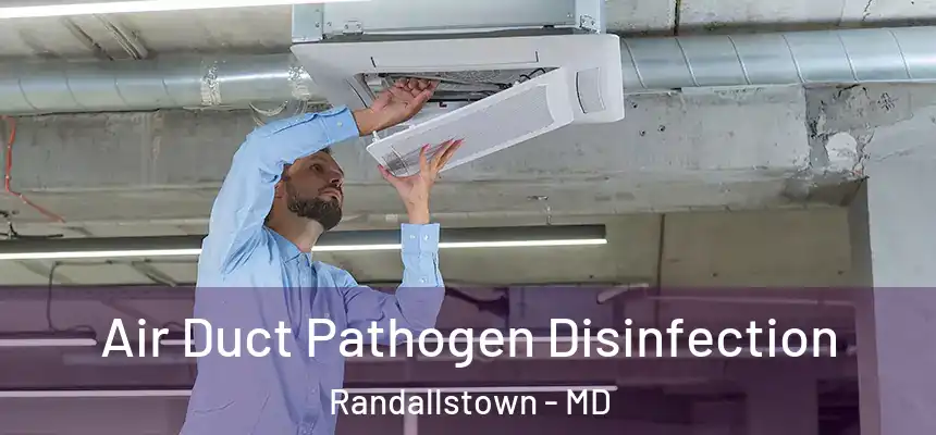Air Duct Pathogen Disinfection Randallstown - MD