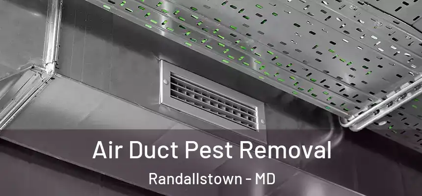 Air Duct Pest Removal Randallstown - MD