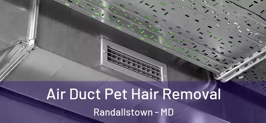 Air Duct Pet Hair Removal Randallstown - MD