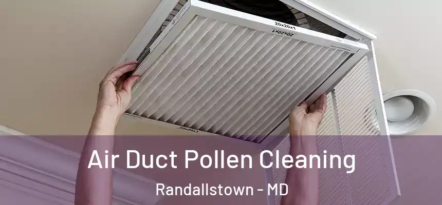 Air Duct Pollen Cleaning Randallstown - MD