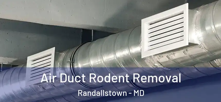 Air Duct Rodent Removal Randallstown - MD