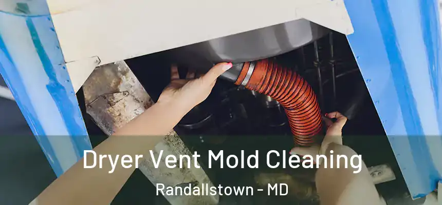 Dryer Vent Mold Cleaning Randallstown - MD