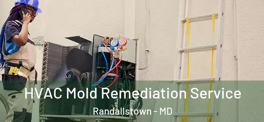 HVAC Mold Remediation Service Randallstown - MD
