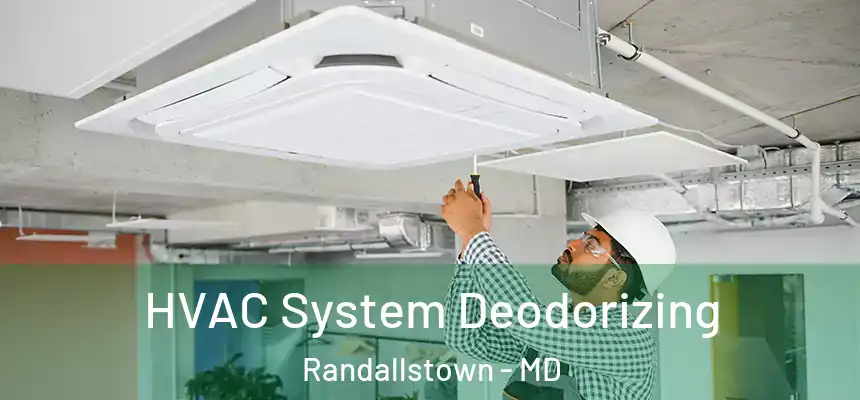  HVAC System Deodorizing Randallstown - MD
