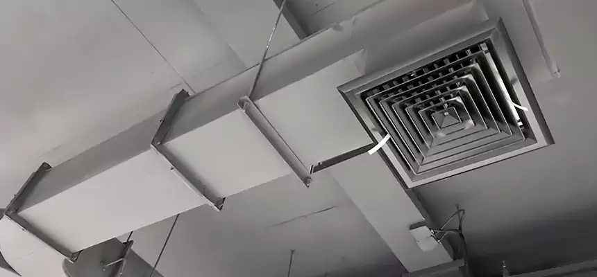 Restorative Allergy Relief Vent Cleaning – Coil, Blower & Housing Detail in Randallstown