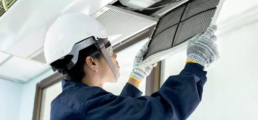 Our Mold & Mildew Removal from Air Ducts Services in Randallstown, MD