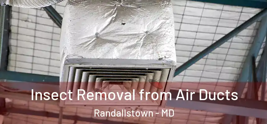 Insect Removal from Air Ducts Randallstown - MD