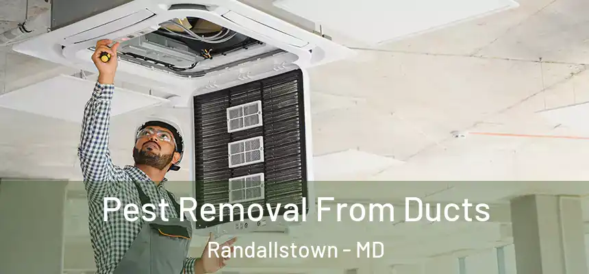 Pest Removal From Ducts Randallstown - MD