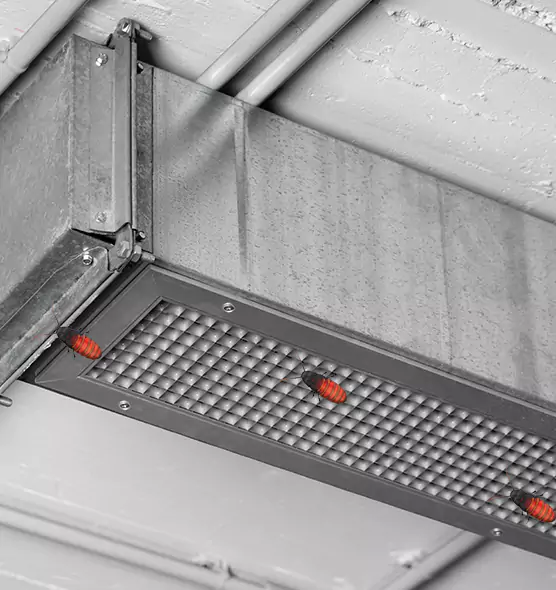 About Air Duct Cockroach Removal in Randallstown, MD