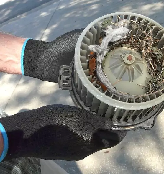 About Air Duct Rat Removal in Randallstown, MD