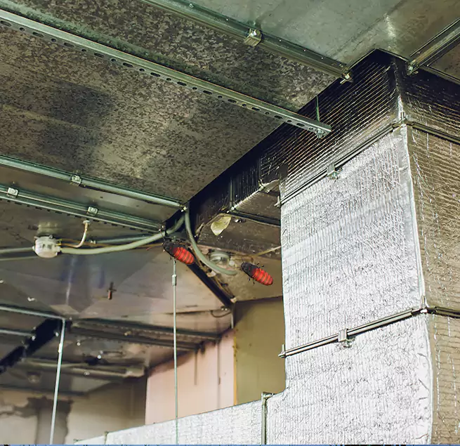 Why Homeowners & Businesses Trust Us in Randallstown, MD?