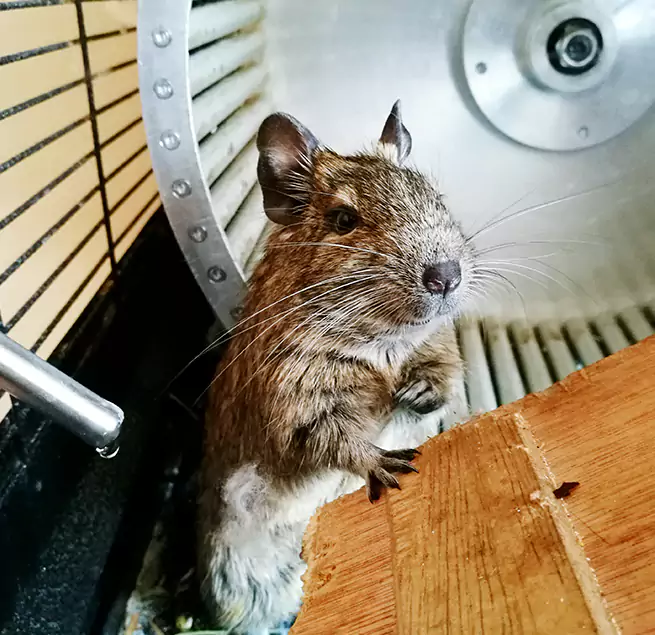 Why Homeowners & Businesses Trust Us Randallstown, MD?